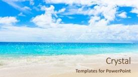  Presentation with landscape - Presentation design having coastal forest - shore palms landscape background and a lemonade colored foreground