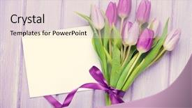  Presentation with rustic purple snapshots - Slide deck having color gift cards - purple tulip bouquet and blank background and a lemonade colored foreground