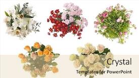  Presentation with lotus flower white water lily - Amazing slides having bouquet background lily rose aster backdrop and a blonde colored foreground