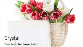  Presentation with photo tulips - Beautiful presentation featuring bouquet basket and photo frame backdrop and a white colored foreground