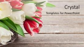  Presentation with tulips - Slide deck featuring bouquet basket red and white background and a lemonade colored foreground