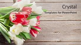  Presentation with tulips - Slide set featuring bouquet basket red and white background and a soft green colored foreground