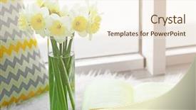  Presentation with narcissus - Slide deck consisting of bouquet daffodils vase - beautiful fresh narcissus on windowsill background and a cream colored foreground