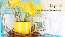  Presentation with jasmine spring flowers - Slide deck having bouquet daffodils vase - beautiful spring flowers on blue background and a yellow colored foreground