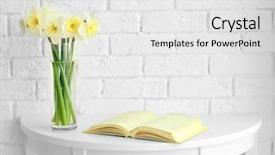  Presentation with narcissus - Beautiful slides featuring bouquet daffodils vase - fresh narcissus flowers and open backdrop and a  colored foreground