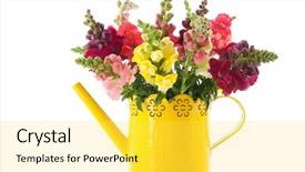  Presentation with flowers vase - Beautiful PPT layouts featuring bouquet dragon flowers in purple vase isolated over white background backdrop and a yellow colored foreground