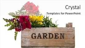  Presentation with dragon - Colorful PPT theme enhanced with red hearts and decorative stones backdrop and a coral colored foreground