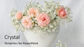  Presentation with pink roses - Presentation theme having pink roses background and a light gray colored foreground