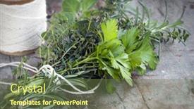  Presentation with oregano - Slide deck having bouquet garni of fresh herbs tied with twine rosemary thyme oregano parsley background and a tawny brown colored foreground