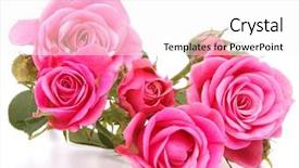  Presentation with pink rose - Slide deck enhanced with bouquet isolated on white background background and a white colored foreground