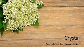  Presentation with lily - PPT theme having bouquet lily of the valley background and a coral colored foreground