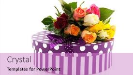  Presentation with roses - Colorful presentation theme enhanced with bouquet many colorful roses isolated over white backdrop and a lilac colored foreground