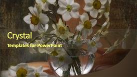  Presentation with narcissus - Colorful slides enhanced with flower still life painting art - bouquet narcissus backdrop and a tawny brown colored foreground