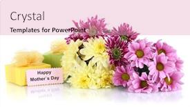  Presentation with white - Presentation theme consisting of bouquet-of-beautiful-chrysanthemums-isolated background and a  colored foreground