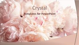  Presentation with peony - Audience pleasing slides consisting of bouquet of beautiful peony flowers on light background closeup backdrop and a lemonade colored foreground