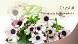  Presentation with summer flowers - Slides having bouquet-of-beautiful-summer-flowers background and a cream colored foreground