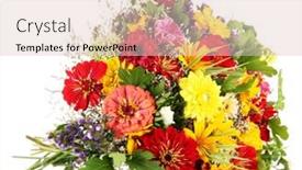  Presentation with summer flowers - Beautiful presentation featuring bouquet of beautiful summer flowers isolated on white backdrop and a lemonade colored foreground