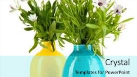  Presentation with summer flowers - Presentation design with bouquet of beautiful summer flowers in color vases isolated on white background and a cyan colored foreground