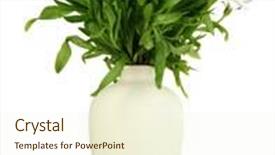  Presentation with flowers vase - Presentation featuring bouquet of beautiful summer flowers in color vase isolated on white background and a cream colored foreground