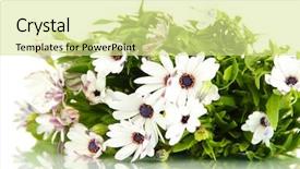  Presentation with summer flowers - Beautiful PPT theme featuring bouquet of beautiful summer flowers isolated on white backdrop and a blonde colored foreground