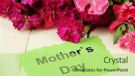  Presentation with mothers day - Presentation theme with bouquet of carnations on color background and a mint green colored foreground