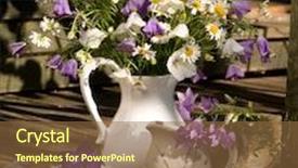  Presentation with white - Audience pleasing presentation consisting of bouquet-of-daisies-and-bells backdrop and a tawny brown colored foreground