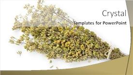  Presentation with oregano - PPT theme featuring bouquet-of-dried-greek-oregano background and a white colored foreground