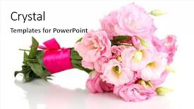  Presentation with white flowers of jasmine - Beautiful PPT theme featuring bouquet of eustoma flowers isolated backdrop and a white colored foreground