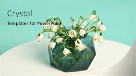  Presentation with light green - Beautiful presentation design featuring bouquet-of-first-spring-flowers backdrop and a mint green colored foreground