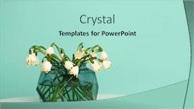  Presentation with light green - Colorful presentation enhanced with bouquet-of-first-spring-flowers backdrop and a mint green colored foreground