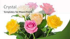  Presentation with white flowers - Presentation theme with bouquet-of-flowers-roses-isolated background and a white colored foreground