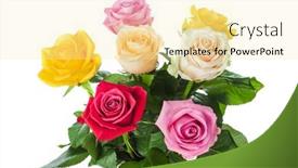  Presentation with white flowers - Theme enhanced with bouquet-of-flowers-roses-isolated background and a blonde colored foreground