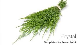  Presentation with white green - Slide set having bouquet-of-fresh-green-field background and a white colored foreground