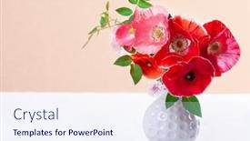  Presentation with poppies - Slides enhanced with bouquet-of-fresh-red-poppies background and a sky blue colored foreground