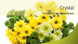  Presentation with jasmine spring flowers - Presentation theme featuring bouquet of fresh spring flowers background and a blonde colored foreground