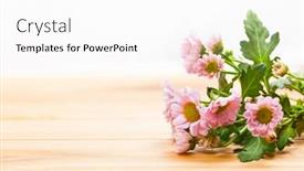  Presentation with rustic spring - Presentation theme enhanced with bouquet of fresh spring flowers on rustic wood place for text on valentine's day mother's day etc vintage background and a white colored foreground