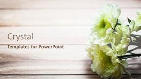  Presentation with rustic spring - Slide set consisting of bouquet of fresh spring flowers on rustic wood place for text on valentine's day mother's day etc vintage background and a sky blue colored foreground