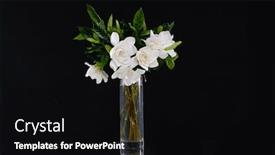  Presentation with cherry blossoms in full bloom - Slides having bouquet-of-gardenia-flower background and a black colored foreground