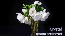  Presentation with green leaves - Colorful slide deck enhanced with bouquet-of-gardenia-flower backdrop and a wine colored foreground