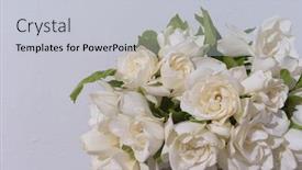  Presentation with green leaves - PPT layouts featuring bouquet-of-gardenia-flower background and a light gray colored foreground