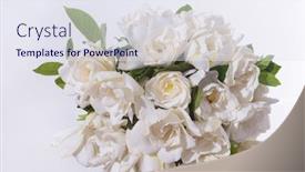  Presentation with green leaves - Beautiful slides featuring bouquet-of-gardenia-flower backdrop and a sky blue colored foreground