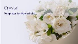  Presentation with green leaves - Cool new PPT theme with bouquet-of-gardenia-flower backdrop and a sky blue colored foreground