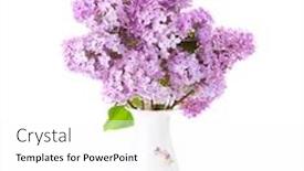  Presentation with porcelain - PPT theme enhanced with bouquet-of-lilac-in-old background and a white colored foreground