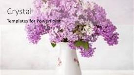 Presentation with porcelain - Slide set enhanced with bouquet-of-lilac-in-old background and a lemonade colored foreground