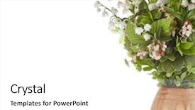  Presentation with bloom - Theme with bouquet of lilies-of-the-valley with bloom blueberries cowberries on wooden vase background and a white colored foreground