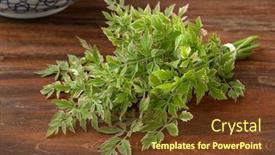  Presentation with flamingo - Slide set with bouquet-of-oenanthe-javanica-flamingo background and a tawny brown colored foreground