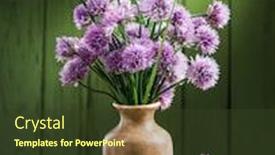  Presentation with flowers vase - PPT theme enhanced with bouquet-of-onion-chives-flowers background and a tawny brown colored foreground