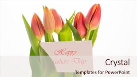  Presentation with mothers day - Slide set consisting of bouquet of pink and yellow tulips with mothers day message on card on white background background and a sky blue colored foreground
