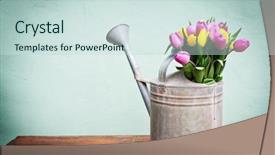  Presentation with pink silk - Audience pleasing PPT theme consisting of bouquet of pink and yelow backdrop and a soft green colored foreground