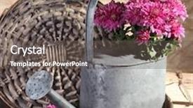  Presentation with chrysanthemum - Colorful slide set enhanced with big bronse bell used at a lighthouse backdrop and a gray colored foreground